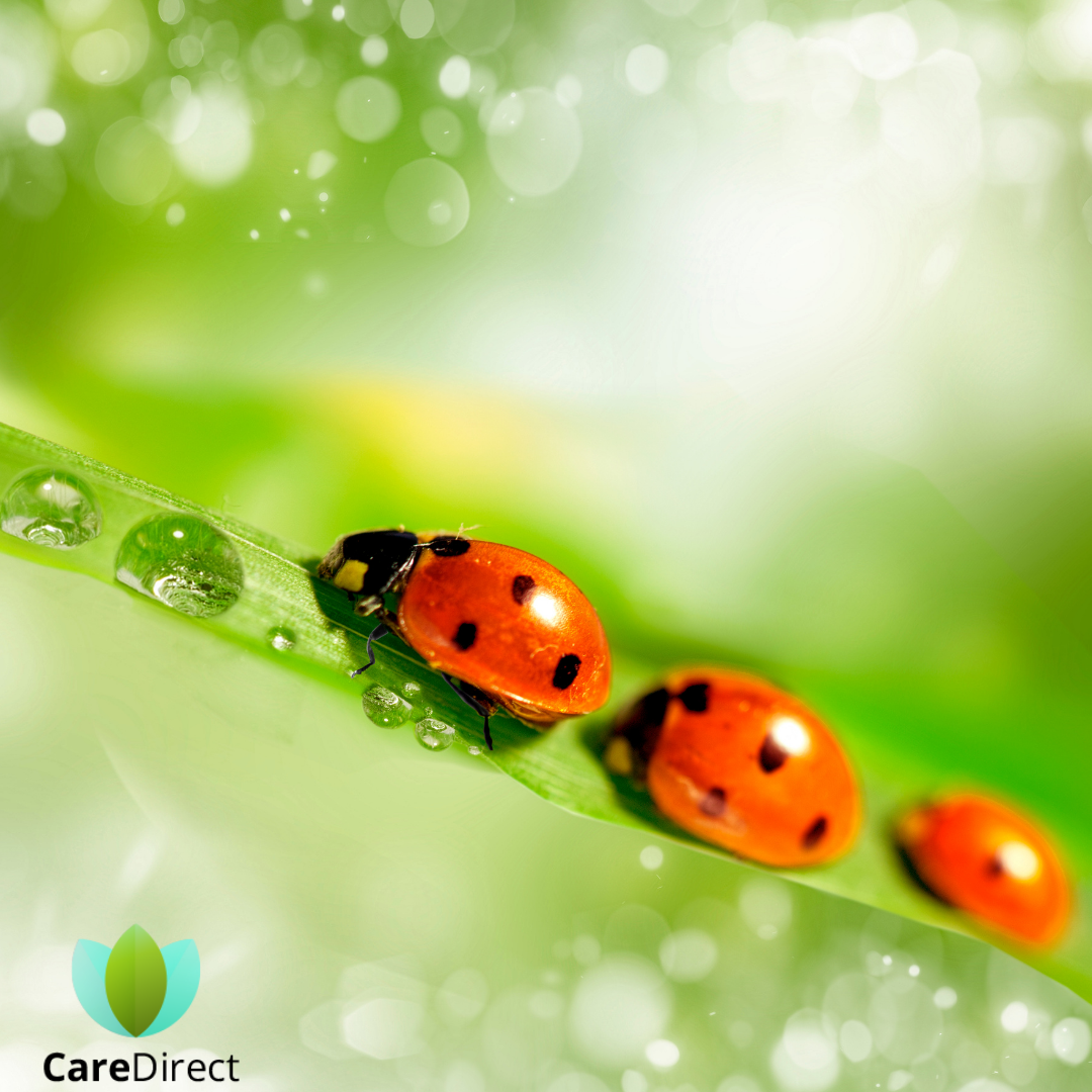 Read more about the article Ön is jogosult lehet 20%-os adójóváírásra! Így maximalizálja megtakarításait