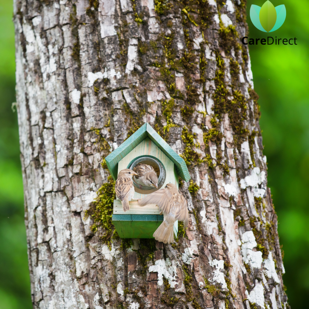 Read more about the article Mekkora anyagi védelmet nyújthat egy balesetbiztosítás?