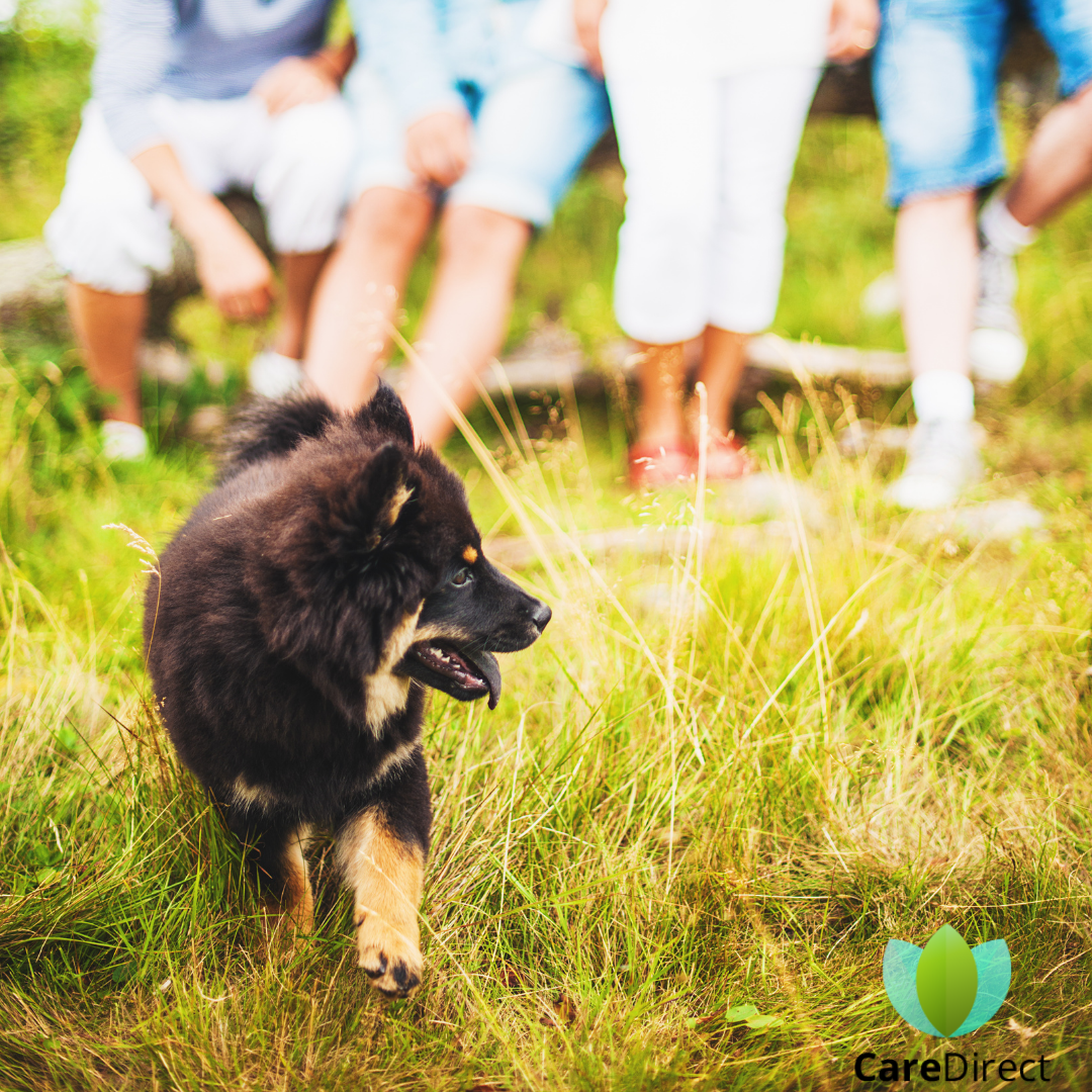 Read more about the article 5 gyakori hiba életbiztosítás megkötésekor